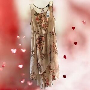 NWT Forever 21 Cream Floral High Low Dress
